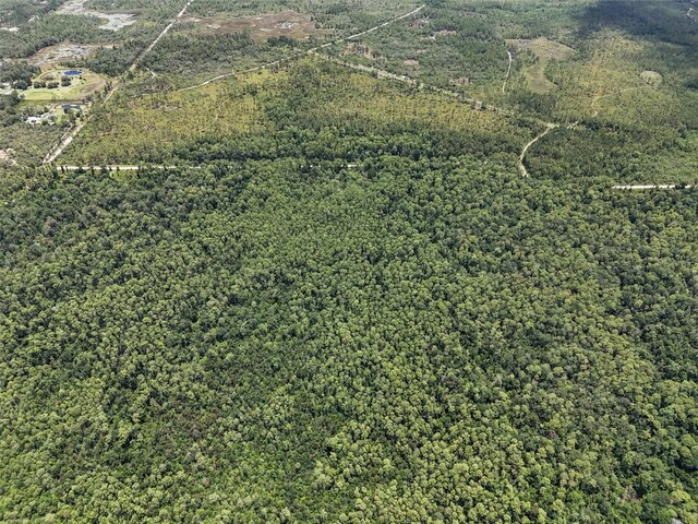 Maggie Jones Rd, Paisley, FL 32767 - photo 8
