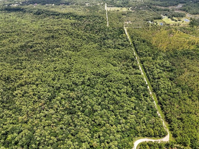 Maggie Jones Rd, Paisley, FL 32767 - photo 10