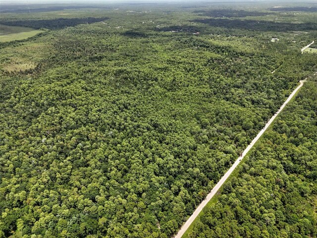 Maggie Jones Rd, Paisley, FL 32767 - photo 11
