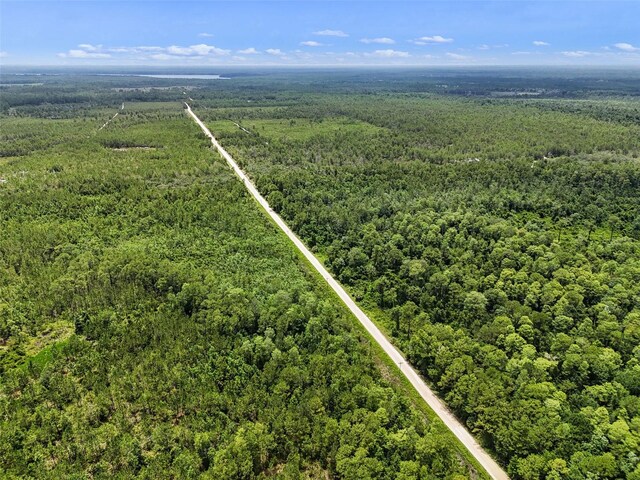 Maggie Jones Rd, Paisley, FL 32767 - photo 12