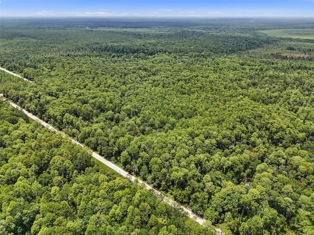 Maggie Jones Rd, Paisley, FL 32767 - photo 13