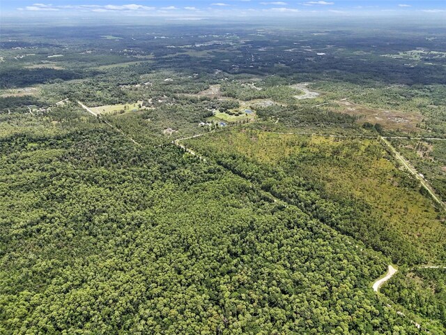 Maggie Jones Rd, Paisley, FL 32767 - photo 14