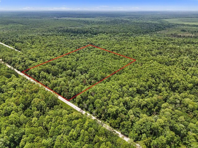Maggie Jones Rd, Paisley, FL 32767 - photo 15