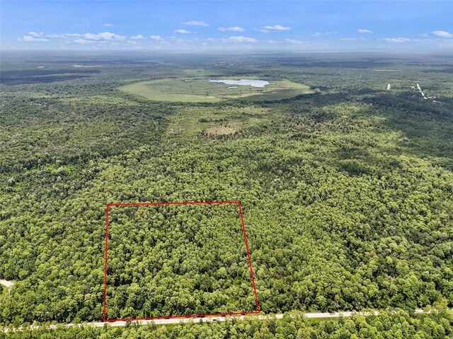 Maggie Jones Rd, Paisley, FL 32767 - photo 16