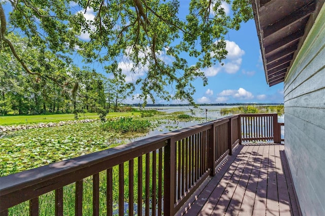 9233 Silver Lake Dr, Leesburg, FL 34788 - photo 70