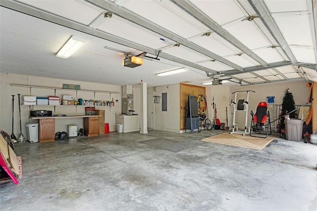 6136 Lake Emma Rd, Groveland, FL 34736 - garage with electric panel and a garage door opener
