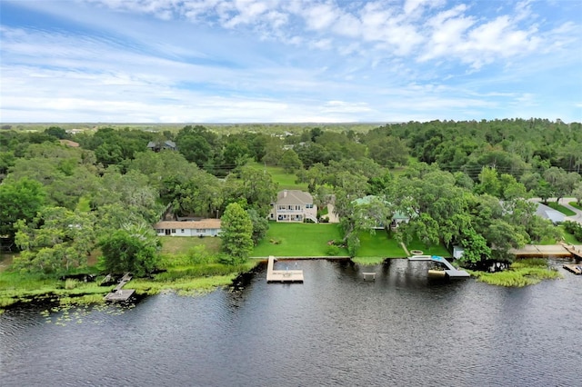 6136 Lake Emma Rd, Groveland, FL 34736 - drone / aerial view of a forest and a nearby body of water