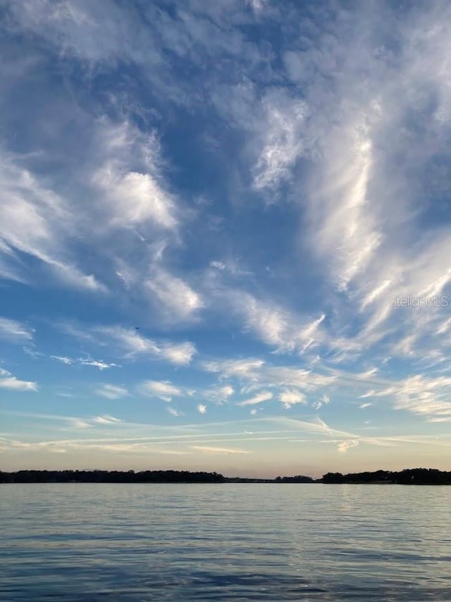 6136 Lake Emma Rd, Groveland, FL 34736 - water view