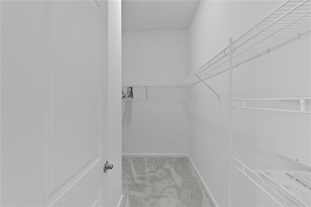3283 Dawn Pl, The Villages, FL 32163 - walk in closet with carpet flooring