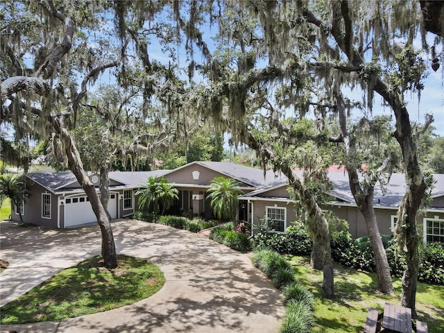 81 N Carol Ave, Mascotte, FL 34753 - ranch-style house with an attached garage, concrete driveway, and stucco siding