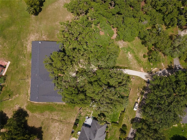 81 N Carol Ave, Mascotte, FL 34753 - aerial view of property's location