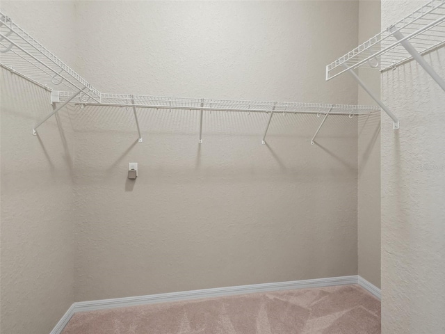 10927 SE 168th Loop, Summerfield, FL 34491 - walk in closet featuring carpet flooring