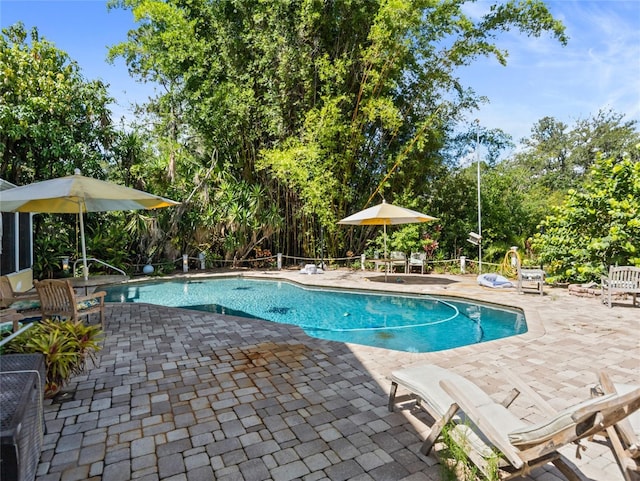 15733 Tower View Dr, Clermont, FL 34711 - outdoor pool featuring a patio and view of wooded area