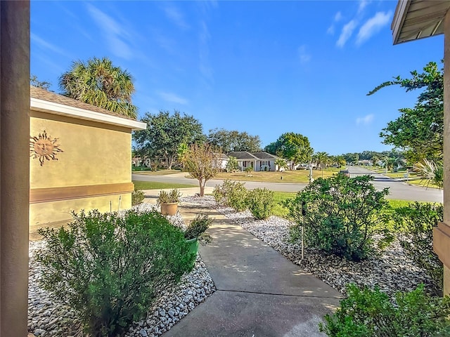 13700 SE 90th Ct, Summerfield, FL 34491 - view of yard