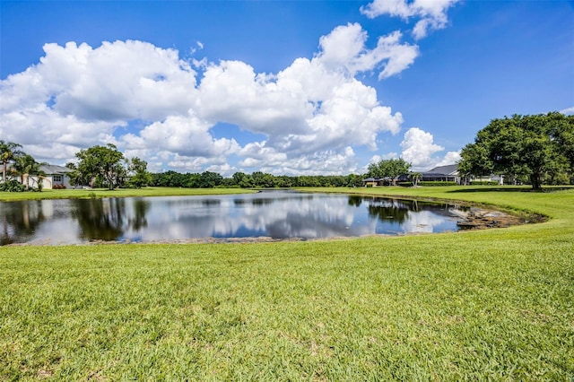 7303 Spring Mountain Ln, Yalaha, FL 34797 - water view