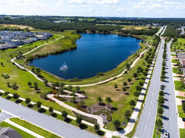 3304 Canna Lily Pl, Clermont, FL 34711 - photo 49