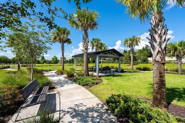 3304 Canna Lily Pl, Clermont, FL 34711 - photo 50