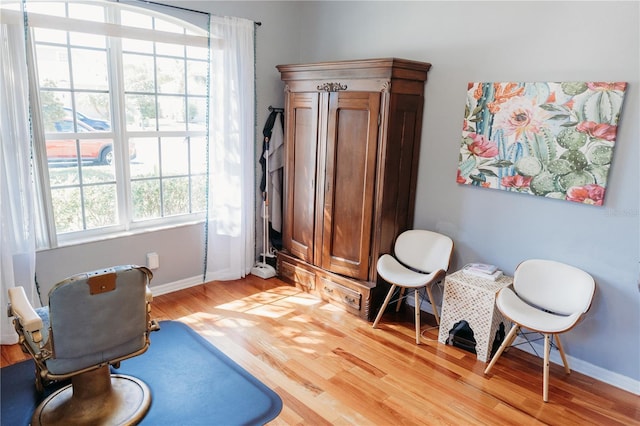26620 Shoregrass Dr, Wesley Chapel, FL 33544 - sitting room featuring light wood-style floors and baseboards