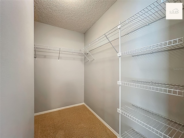 2311 Pine Ridge St, The Villages, FL 32162 - walk in closet featuring carpet floors