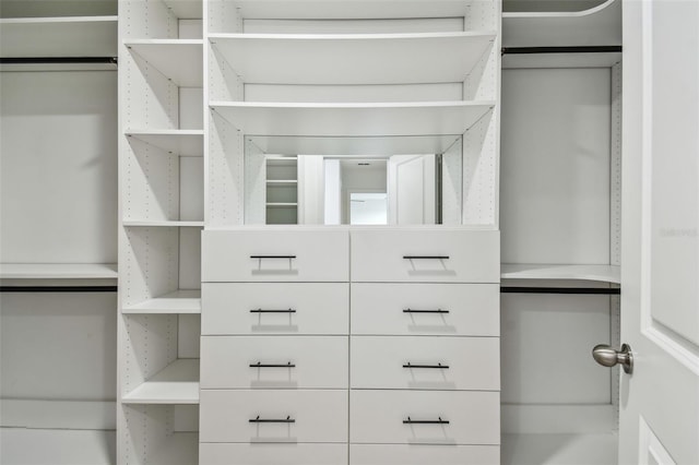 2139 Stellar Brilliance Way, Lutz, FL 33558 - view of spacious closet