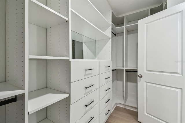 2139 Stellar Brilliance Way, Lutz, FL 33558 - walk in closet featuring light wood finished floors