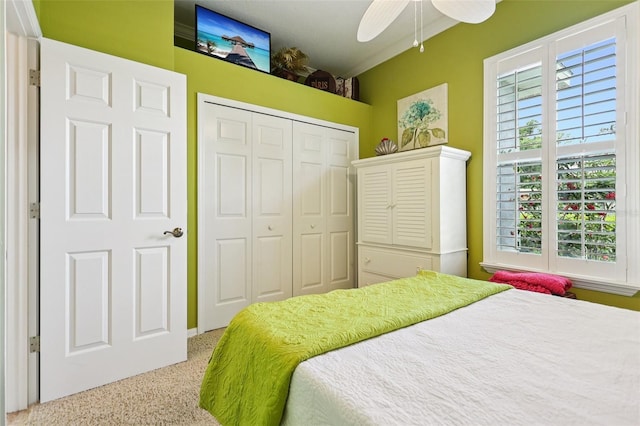 2512 Baywater Rd, Tavares, FL 32778 - bedroom featuring carpet, a closet, and a ceiling fan