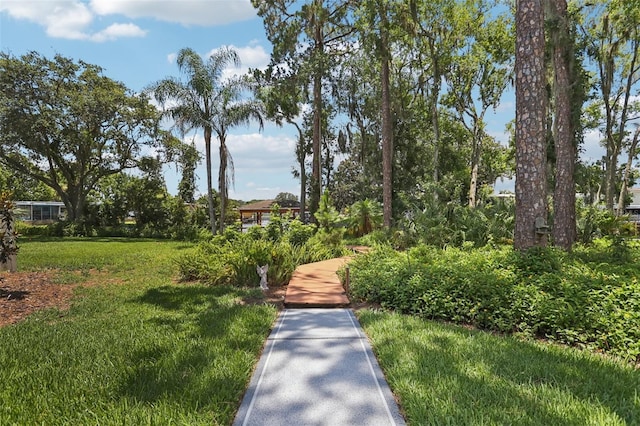 2512 Baywater Rd, Tavares, FL 32778 - surrounding community featuring a yard