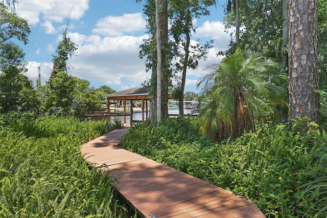 2512 Baywater Rd, Tavares, FL 32778 - view of community featuring a dock