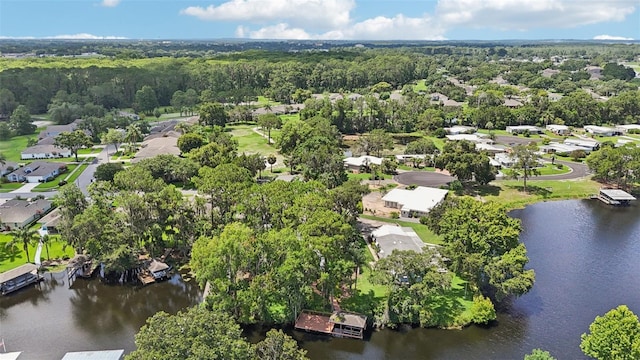 2512 Baywater Rd, Tavares, FL 32778 - aerial view of residential area with a nearby body of water
