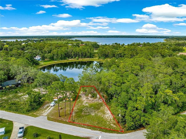 168 Avenue, Ocklawaha, FL 32179 - photo 1
