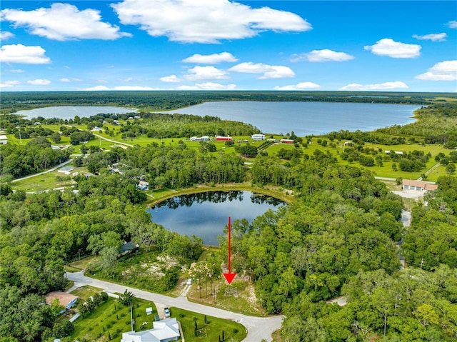 168 Avenue, Ocklawaha, FL 32179 - photo 2