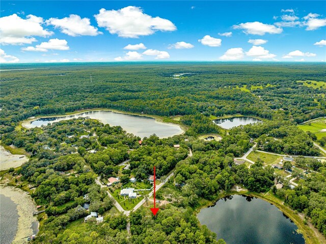 168 Avenue, Ocklawaha, FL 32179 - photo 5