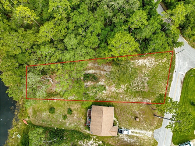 168 Avenue, Ocklawaha, FL 32179 - photo 7