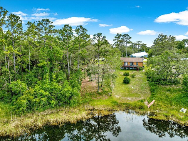 168 Avenue, Ocklawaha, FL 32179 - photo 8