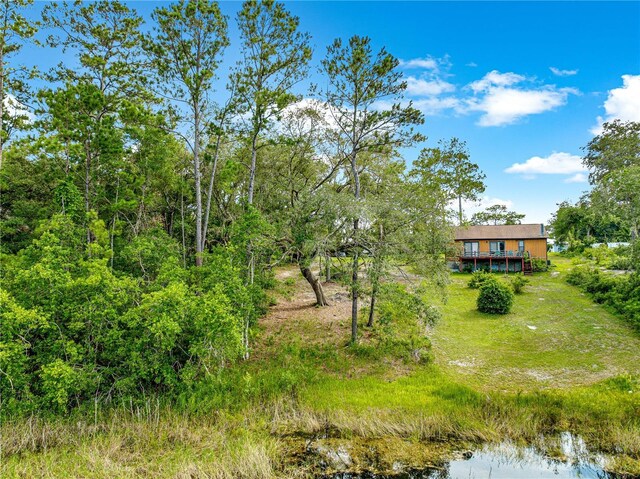 168 Avenue, Ocklawaha, FL 32179 - photo 9
