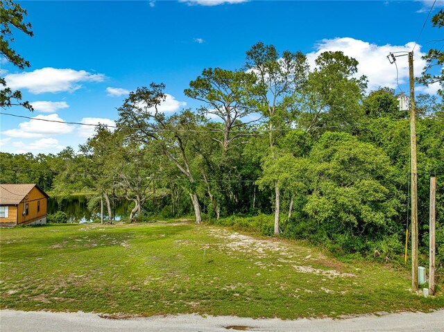 168 Avenue, Ocklawaha, FL 32179 - photo 10