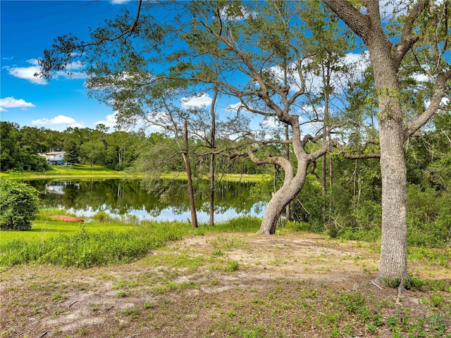 168 Avenue, Ocklawaha, FL 32179 - photo 11