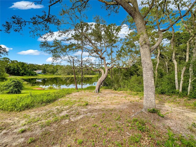 168 Avenue, Ocklawaha, FL 32179 - photo 12