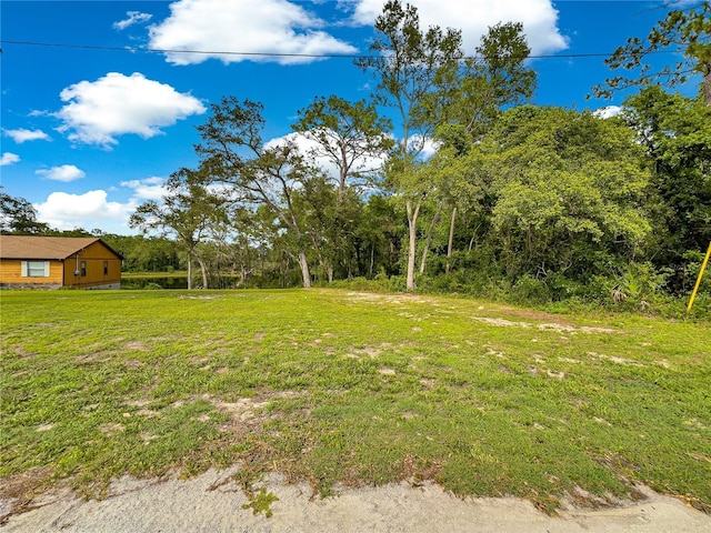 168 Avenue, Ocklawaha, FL 32179 - photo 13