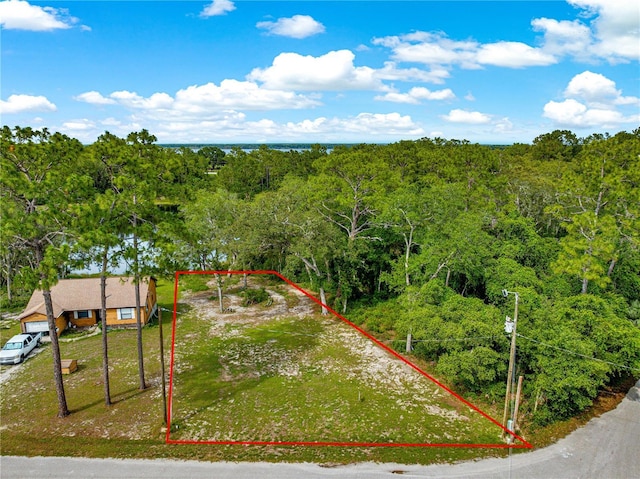 168 Avenue, Ocklawaha, FL 32179 - photo 14