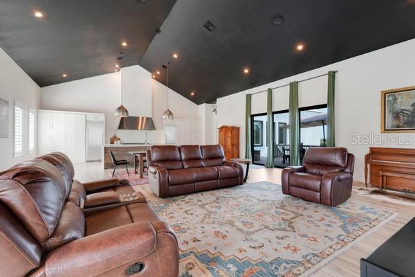 10711 County Road 561, Clermont, FL 34711 - living room featuring high vaulted ceiling and wood finished floors