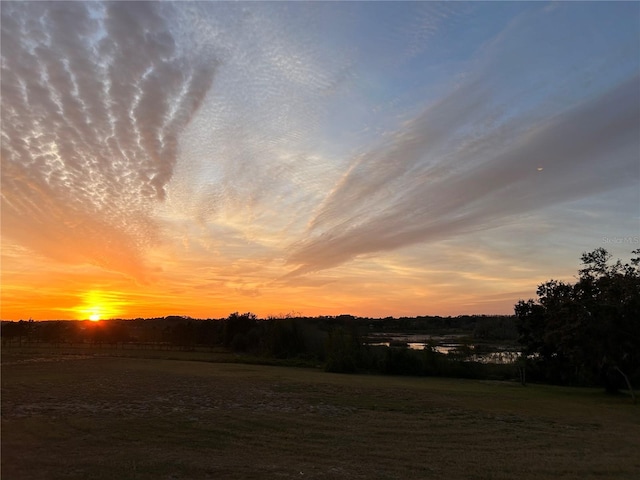 10711 County Road 561, Clermont, FL 34711 - view of yard
