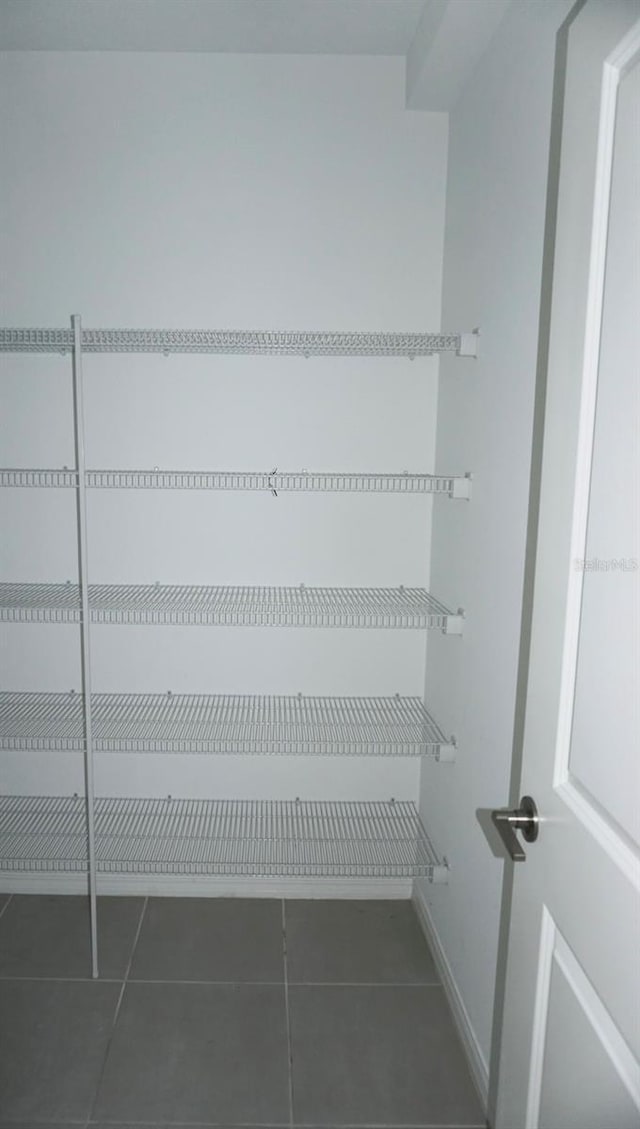 1138 Calico Pointe Cir, Groveland, FL 34736 - view of pantry