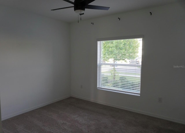 1138 Calico Pointe Cir, Groveland, FL 34736 - carpeted spare room with a ceiling fan and baseboards