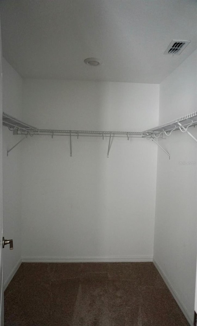 1138 Calico Pointe Cir, Groveland, FL 34736 - walk in closet with carpet flooring
