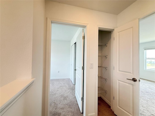 1138 Calico Pointe Cir, Groveland, FL 34736 - corridor with carpet and baseboards