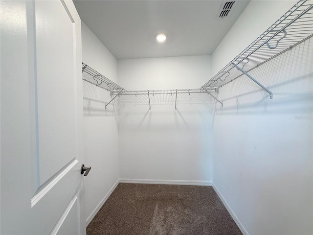 1138 Calico Pointe Cir, Groveland, FL 34736 - spacious closet with carpet flooring