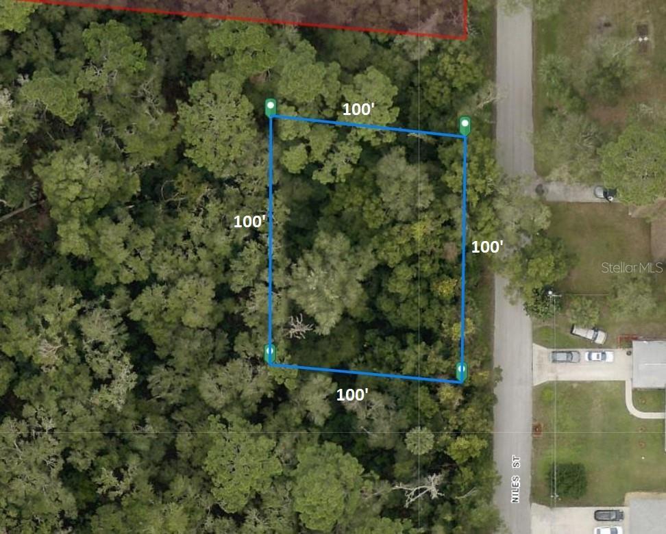 31633 Niles St, Sorrento, FL 32776 - photo 1