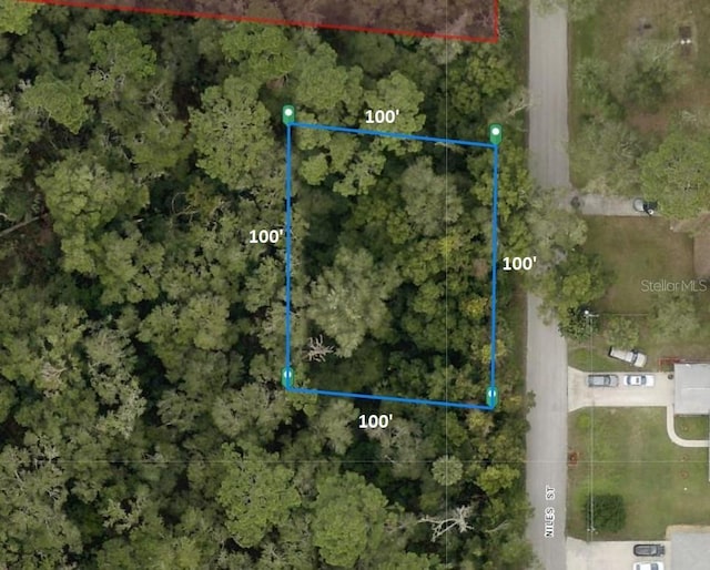 31633 Niles St, Sorrento, FL 32776