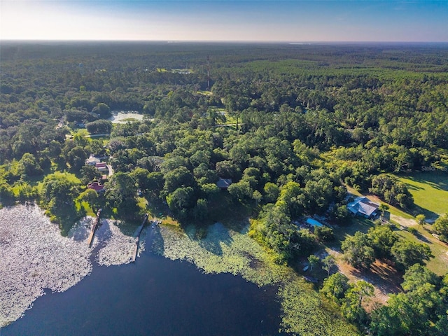 54544 Buckhorn Rd, Astor, FL 32102 - view of property location featuring a forest